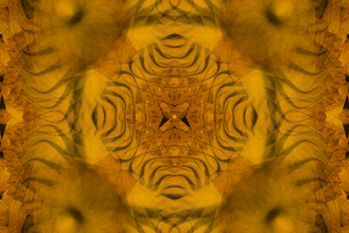 carousel_thumb